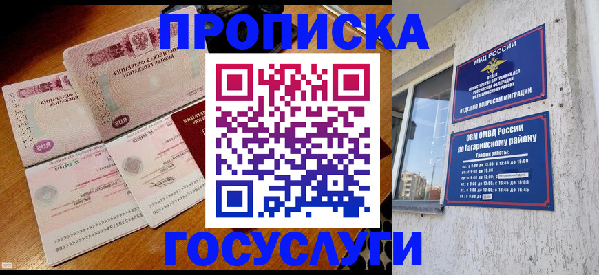где прописаться в Гулькевичах